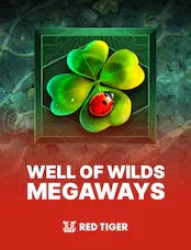 Well of Wilds Megaways
