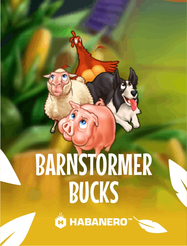 Barnstormer Bucks